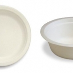 Biodegradable plate and bowl