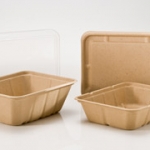 biodegradable containers