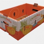 Fruit packaging