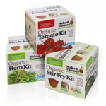 lithographic carton